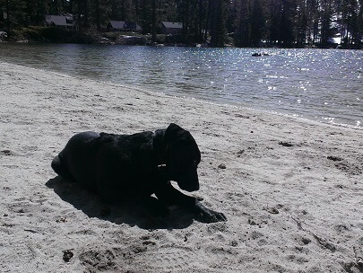 Angora Lakes