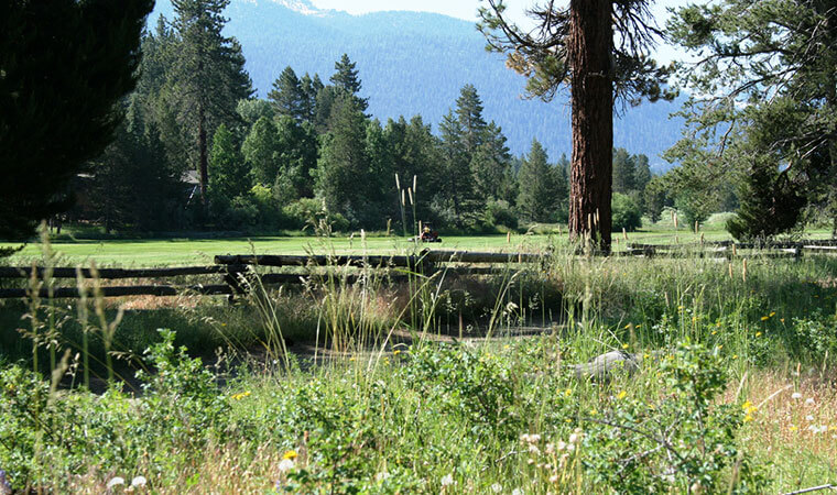 Bijou Municipal Golf Course