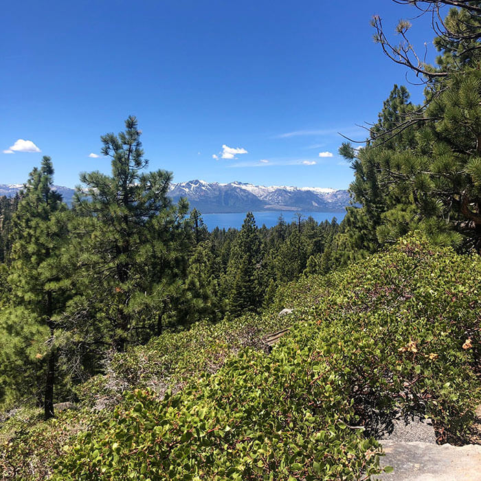 Castle Rock Trail