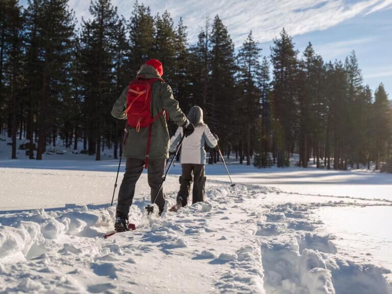 Clearly Tahoe Guided Snowshoe Experience