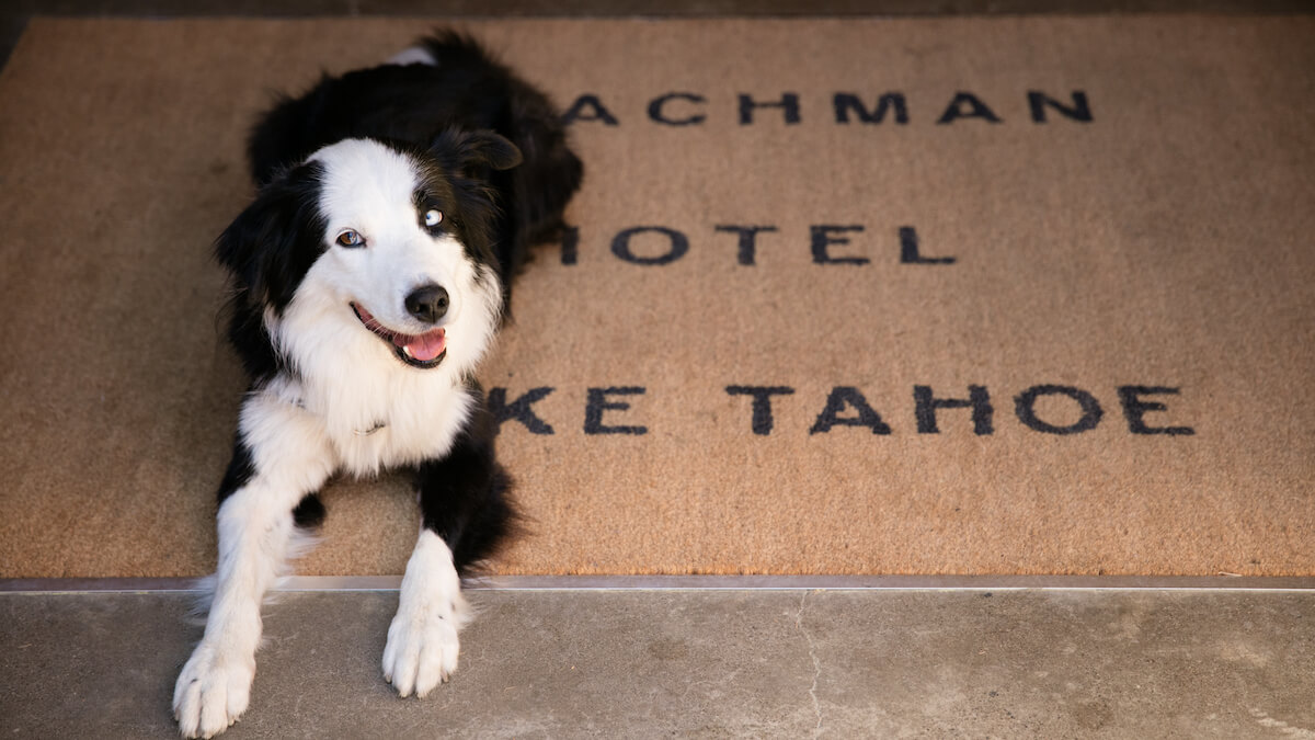 Pet Friendly Hotels