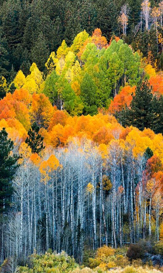 fall lake tahoe