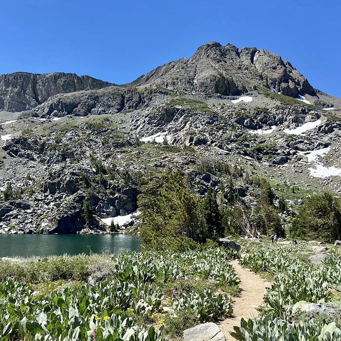 Lake Winnemucca Trail
