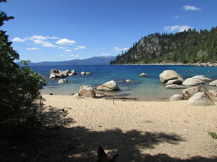 Skunk Harbor Beach