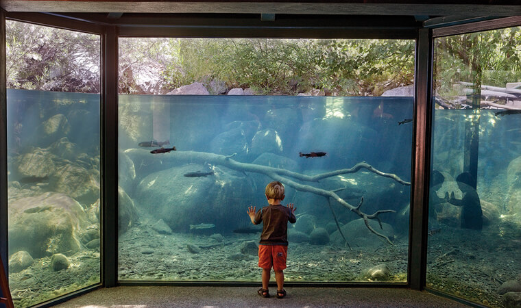Taylor Creek Visitor Center and Stream Profile Chamber