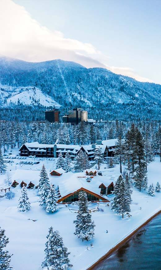 winter