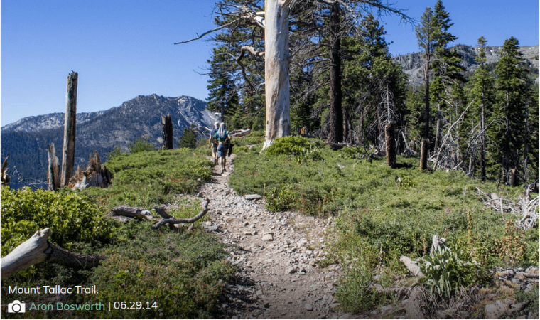 Mount Tallac Trail